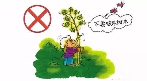 不乱扔纸屑,果皮