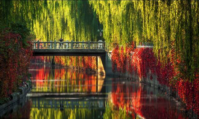 海淀区|海淀发布“水清岸绿”行动计划！5年新增千顷水面