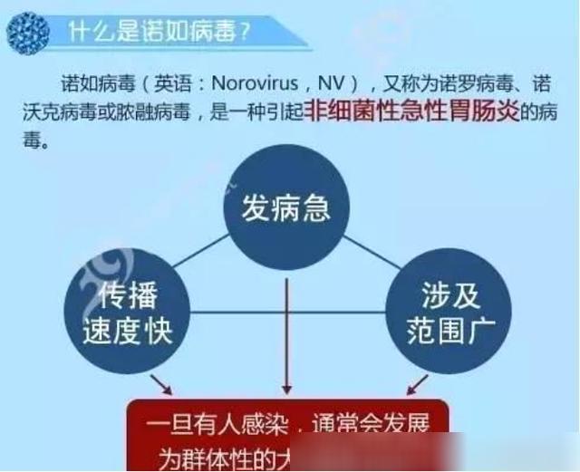 可怕的诺如病毒爆发 教会你这两招 宝妈还怕什么