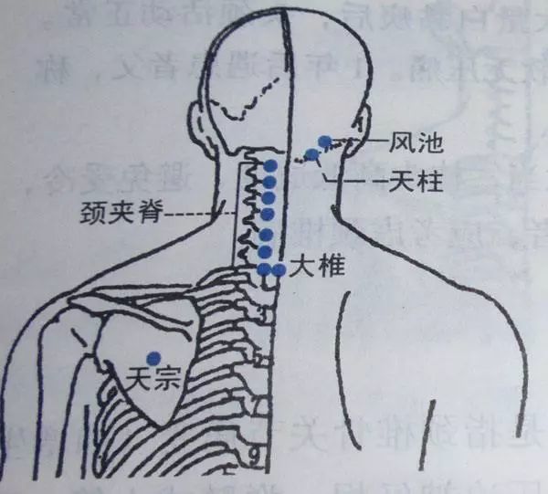 每日一穴給肩膀按摩卻越按越累3個穴位教你快速緩解