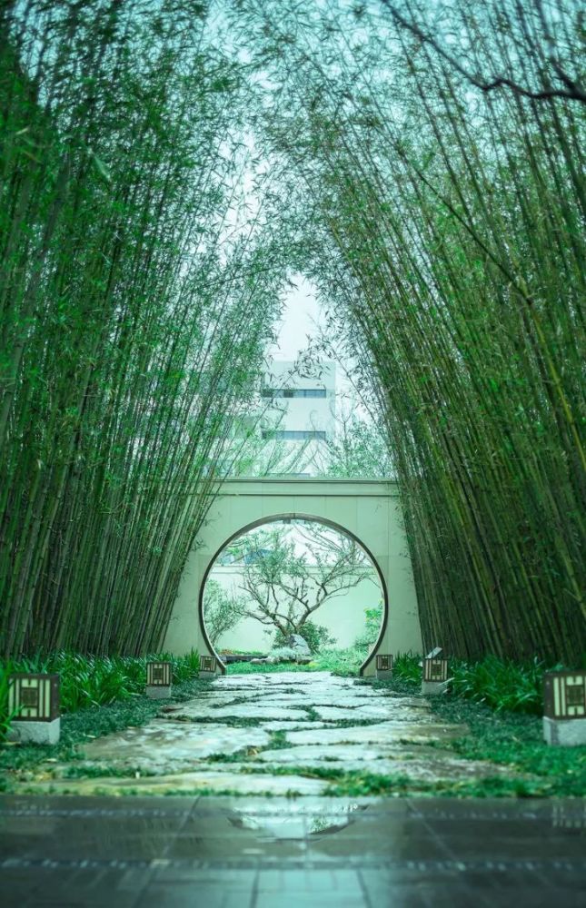 一处古香古色的中式庭院_腾讯新闻