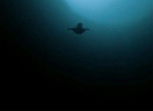 4张图测出是否有深海恐惧症,最后一张真实取景,吓出一身冷汗!