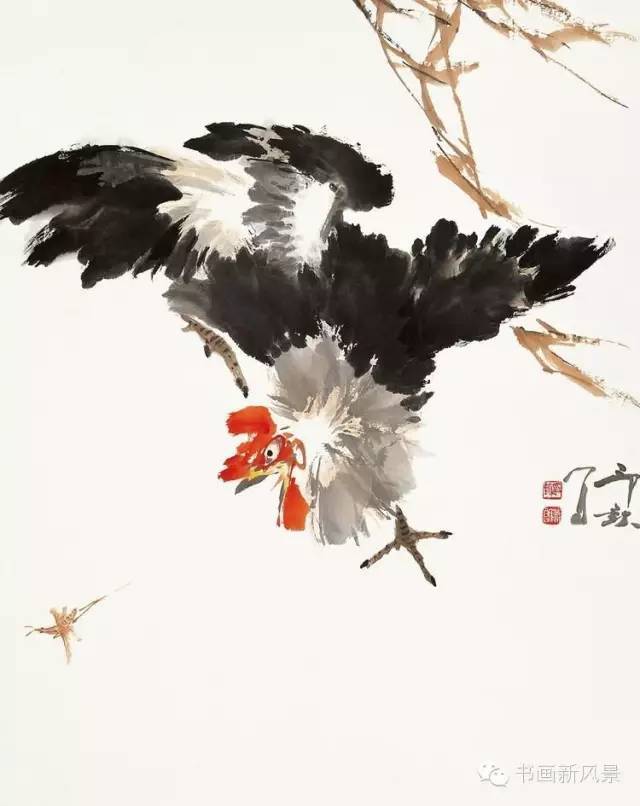 花鸟画|这位老先生的花鸟，色彩超美！
