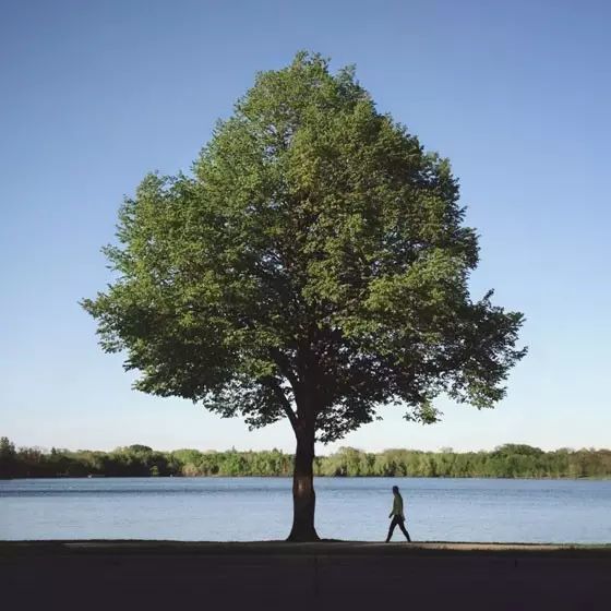 记住这8个绝招让摄影主体更突出