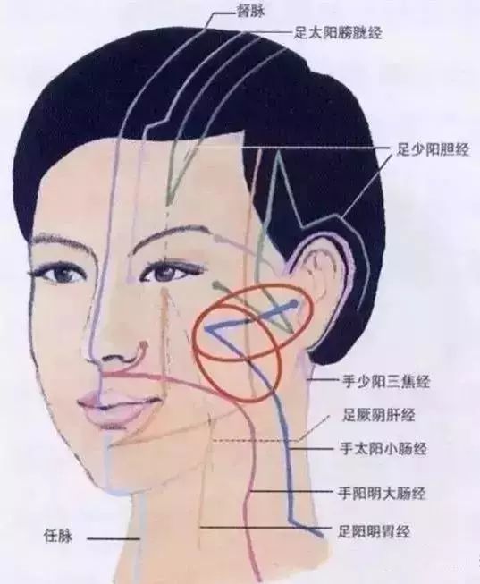 神奇的面部九條經絡拍臉等於疏通到九條經絡了