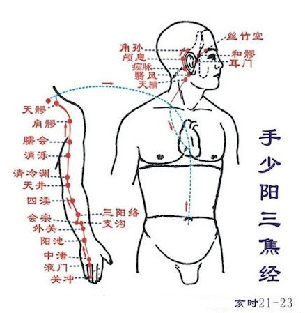 治百病经络大全:哪里不舒服,就拍哪条经络!