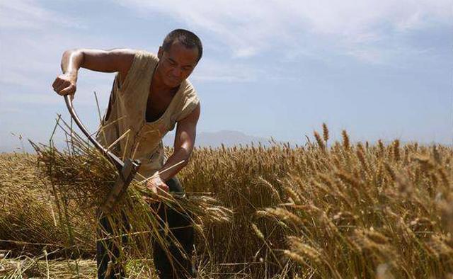 民间故事 嫂子当家 村人挑唆小叔闹分家 嫂子心中却自有打算