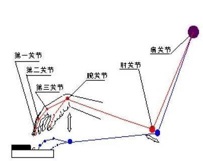 关于弹钢琴的手型 一定看看这几位钢琴家的介绍 腾讯网