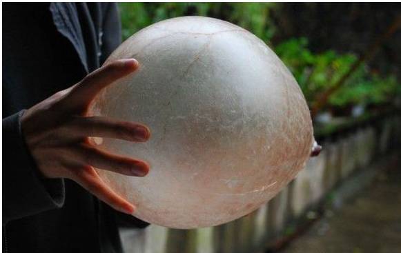 全村一起吃杀猪饭除了玩猪尿泡小时候最爱的就是吃饭的环节啦!