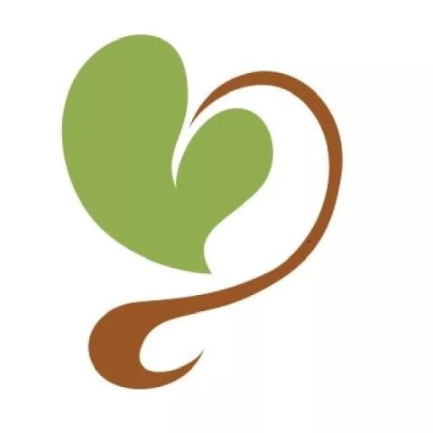 在全国最好的心理学专业读书,是一种怎样的体