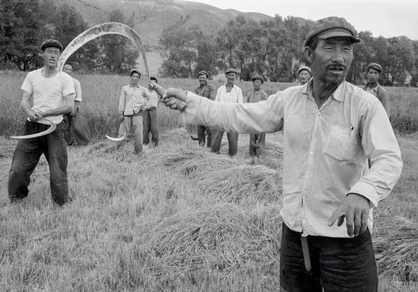 汤姆·哈金斯|一直未公开的绝版旧照，看看1956年的中国究竟什么样