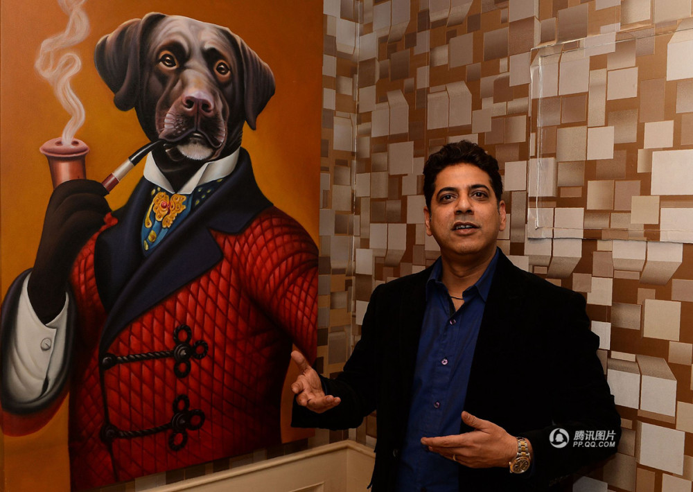 印度开设豪华狗狗酒店 70美元享受国王般的生活