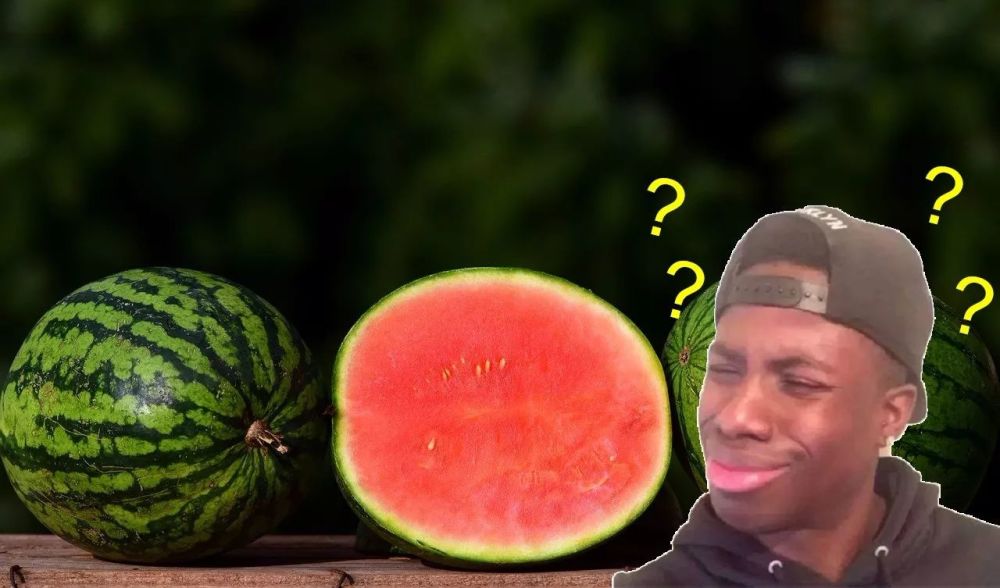 “dwyane wade china watermelon”的图片搜索结果"
