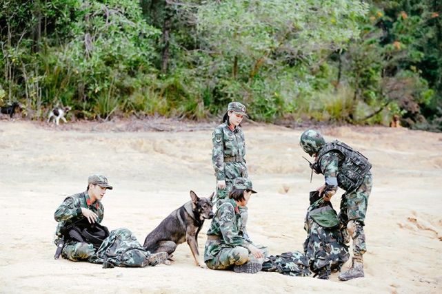 奇兵神犬 泥潭救犬波折不断 杨烁匍匐前进杨朵兰勇救 宝珠