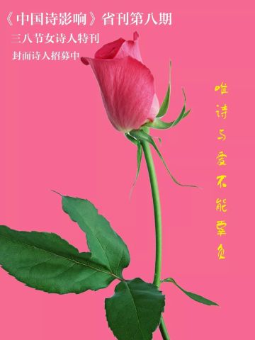 《中国诗影响》诗刊第七期完整目录