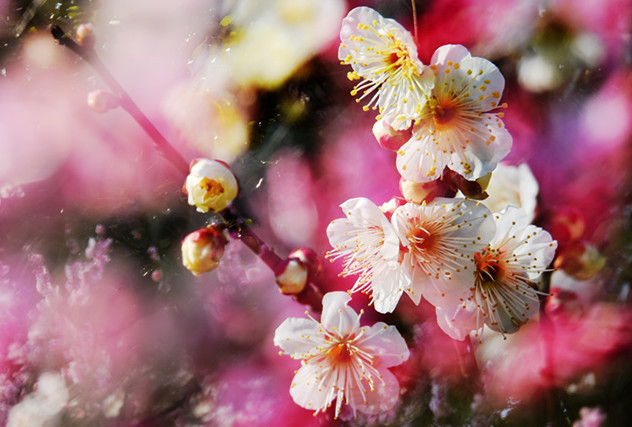 绩效面谈八步循环工作法,让员工主动对绩效结