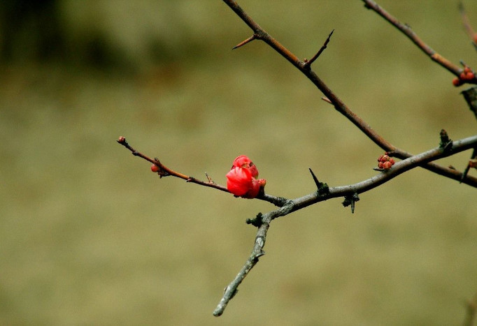 绩效面谈八步循环工作法,让员工主动对绩效结
