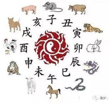 每日一测:2019年8月22日十二生肖运势!今日冲