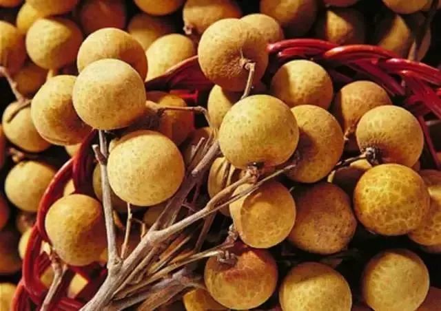 热量|吃水果减肥反而胖？这些水果热量比肉高多了！你踩雷了吗？