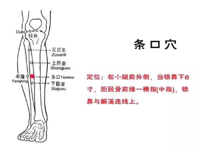 艾灸腿上的這個穴,可以解凍你的