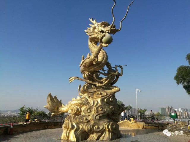 深圳聚龙山生态公园,偶遇枫叶,樱花的地方,深圳