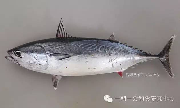 腾讯内容开放平台