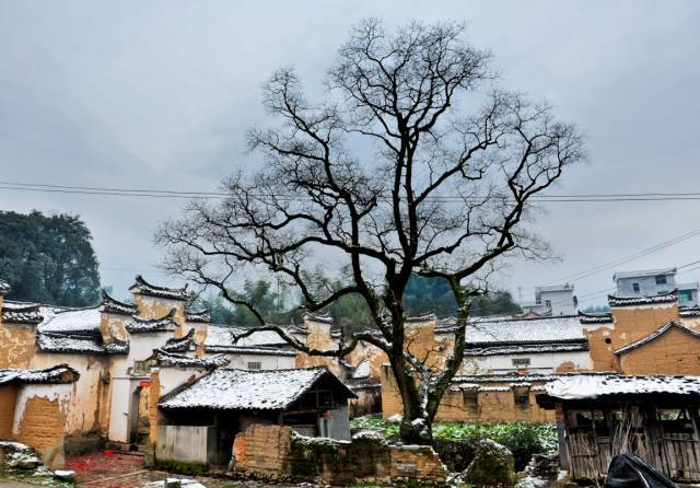 蔡 宅 村蔡宅村距離松陽縣城30公里,為大東壩鎮人口最多的一個村.