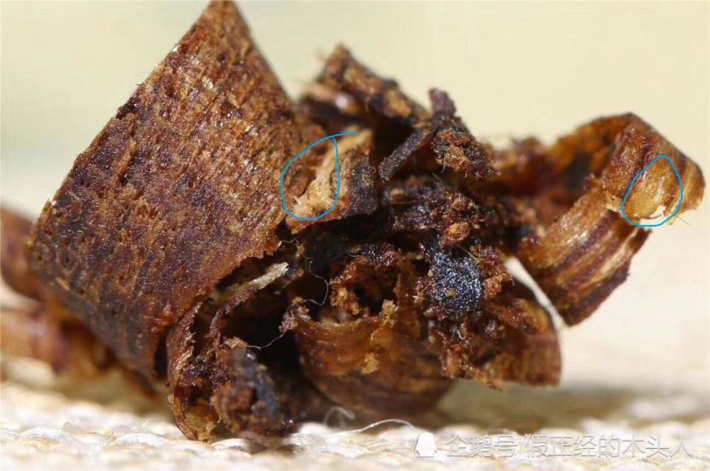 第三张图,一共画了两个圈,注意看右边的圈,显著的木质结构,本身是白色