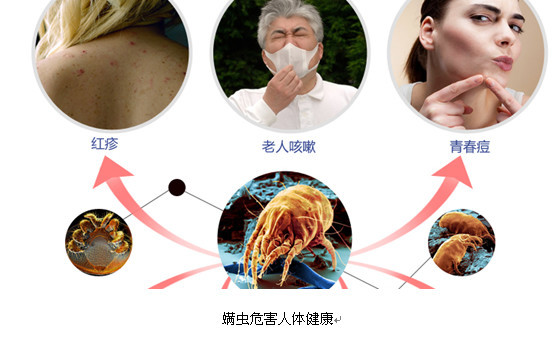 为什么普通吸尘器不能除螨?什么样的吸尘器可以除螨?