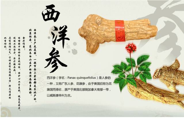 西洋参搭配着吃 神经 血管 免疫问题统统迎刃而解