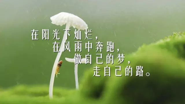 朋友圈人生哲理唯美语录带图片励志语录简短一句话经典