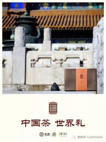 打击力度那么大,为什么黑茶传销还在