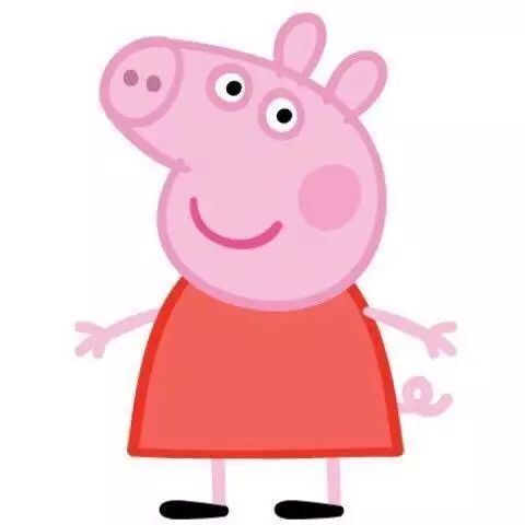 2017年流行语,你是精致的猪猪女孩,还是佛系女