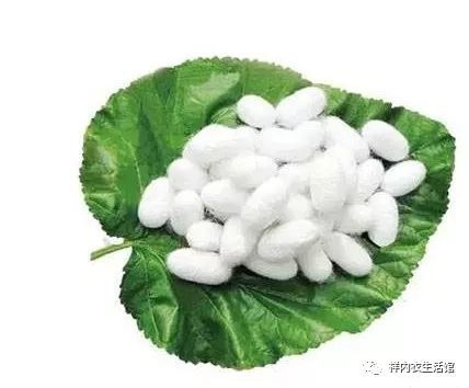 认识下蚕蛹蛋白纤维