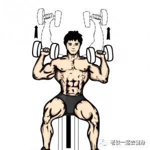 高效训练三角肌中束动作---哑铃肩上推举