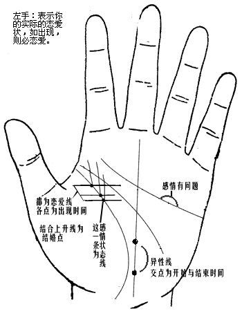 感情線:從小指邊上開始為男(20歲),女(18歲),小指中間的感情線為女(23