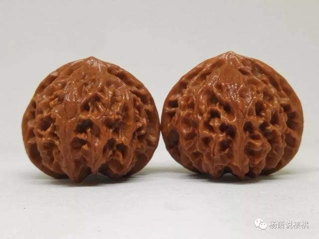 再说宫灯狮子头