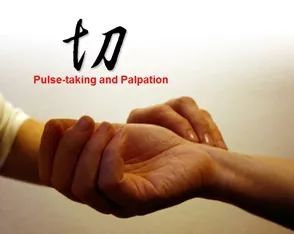 初次认识切脉针灸