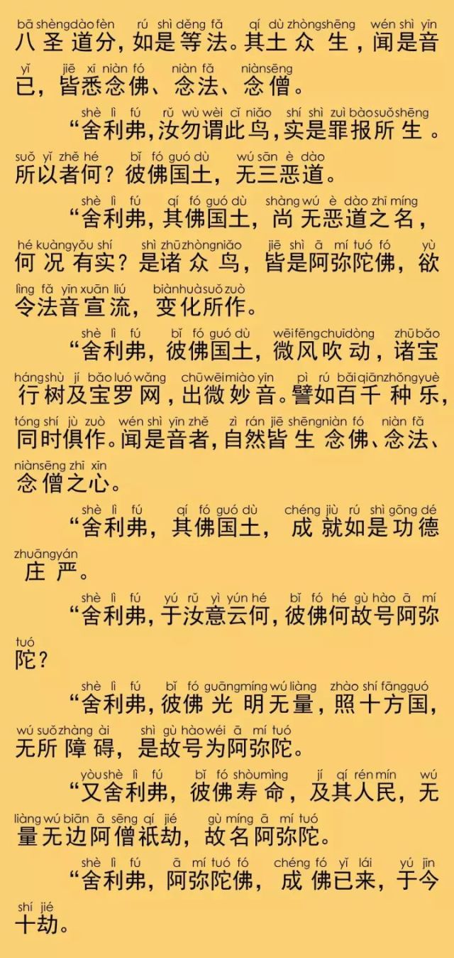 《佛说阿弥陀经》注音版