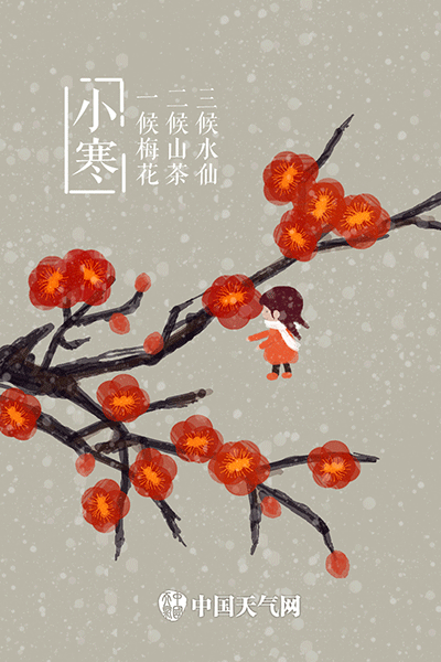 有诗云:小寒惟有梅花皎洁,未见梢头春一枝;古人描述小寒的物语是:一候