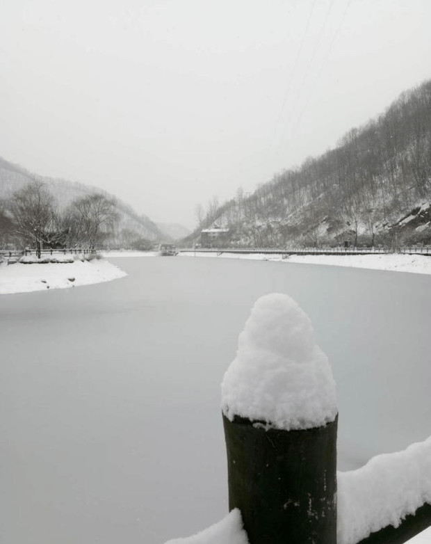 暴雪2018 美出新高度 水乡变雪乡 积雪接近20厘米厚