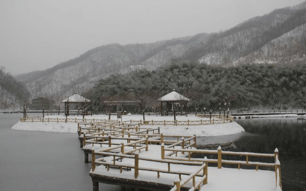 暴雪2018 美出新高度 水乡变雪乡 积雪接近20厘米厚