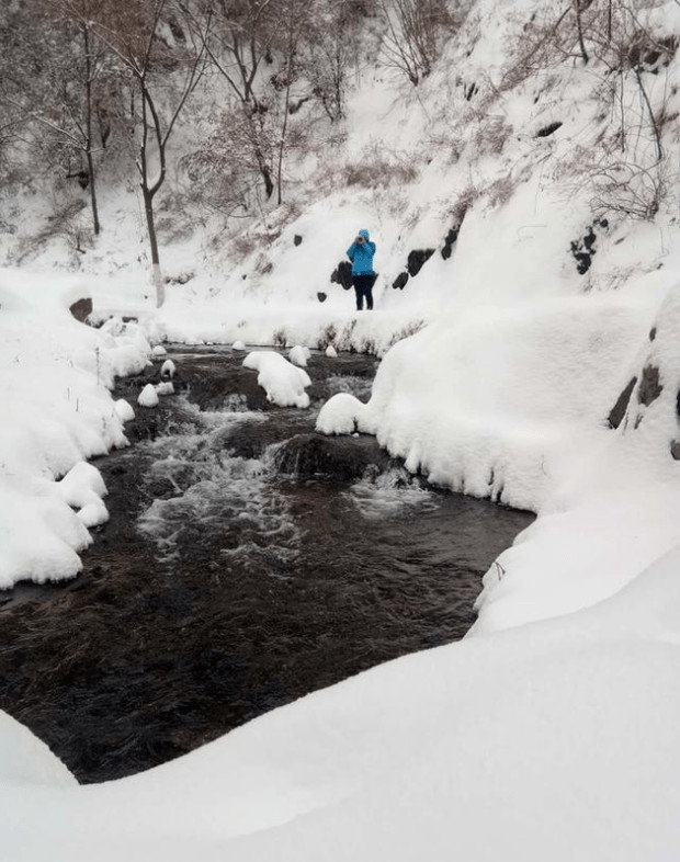 暴雪2018 美出新高度 水乡变雪乡 积雪接近20厘米厚