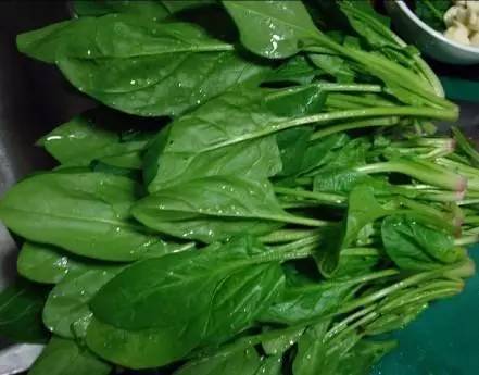 面条|一北京姑娘的108个做饭小妙招，连退休厨师都说好，实用！