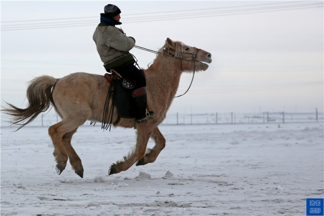 零下40度,蒙古族牧民骑着骏马 跨越呼伦贝尔草原上