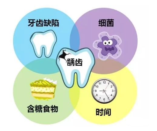 齲病的不同階段齲齒的形成是一個相對較緩慢的過程.