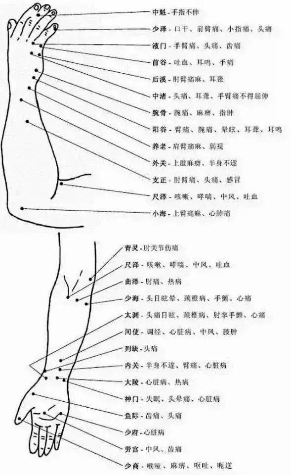 人體穴位圖與功效【完整版】建議收藏.