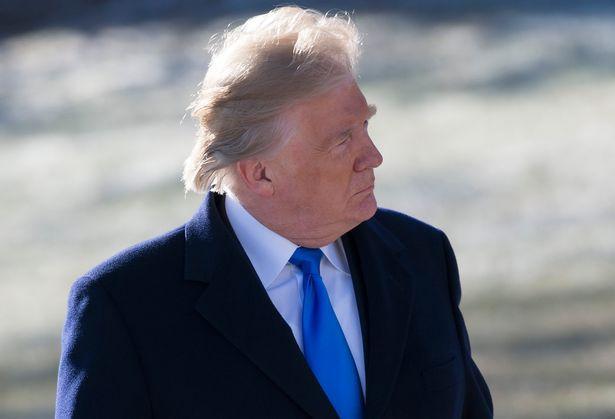 特朗普许诺做最勤奋的美国总统 每天工作时间