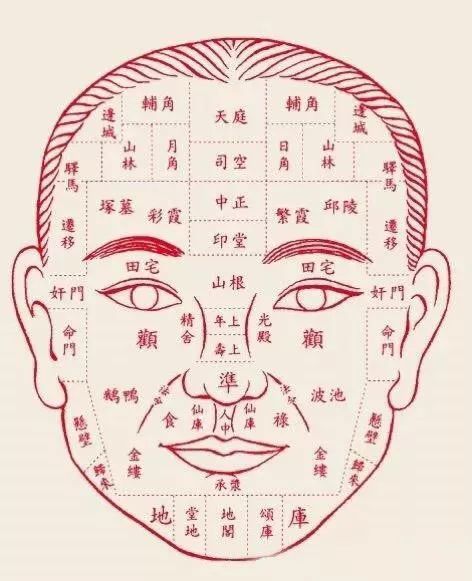 课后在线返校辅导及答疑(3次),集理论结合案例研讨加深学员对面相学的