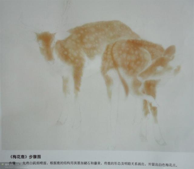 画法|几种动物工笔画法步骤